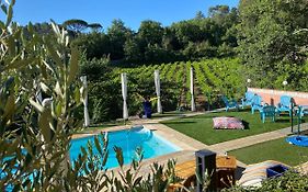 La Vie Est Belle En Provence